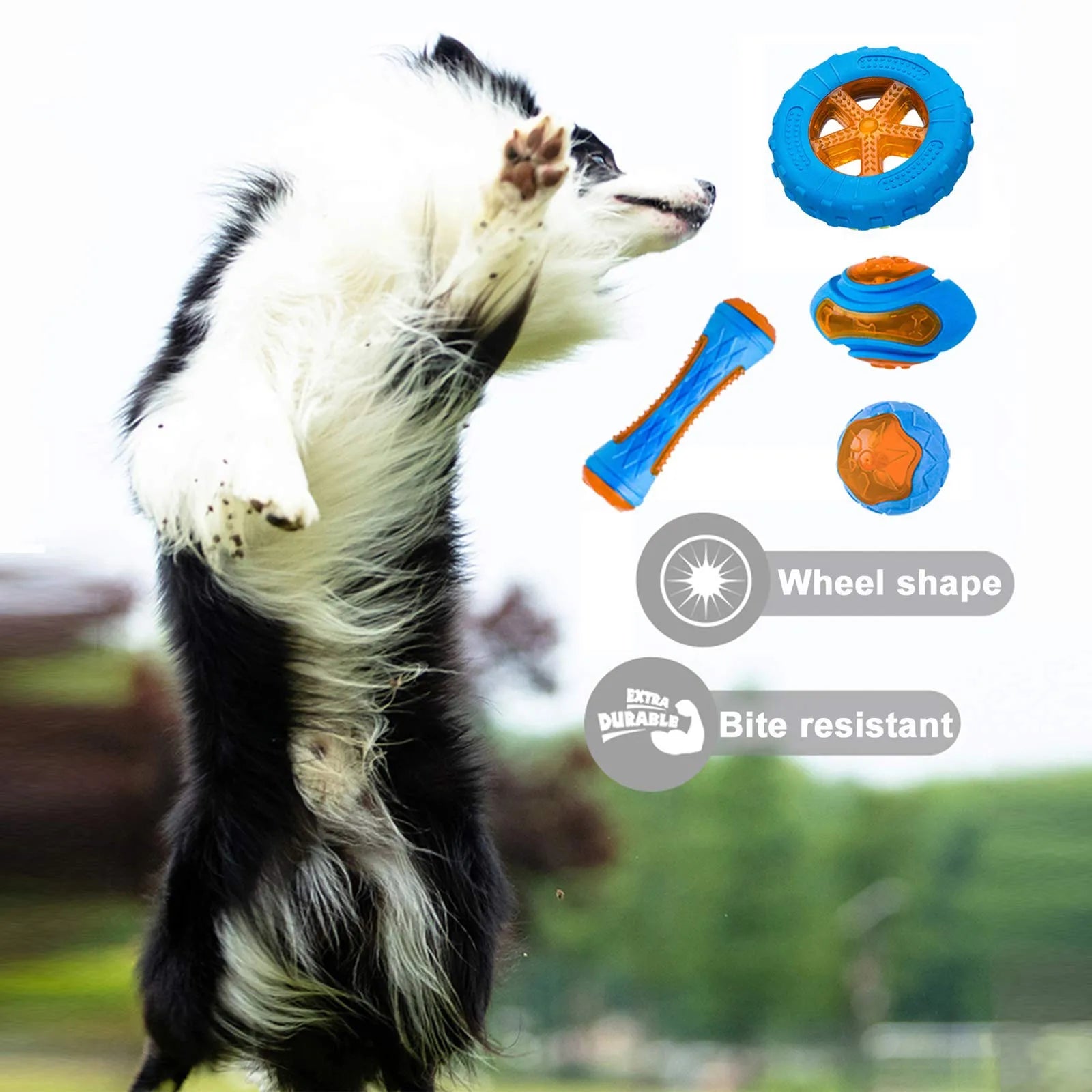 🐶 Chewing Toy with Sound for Dogs – Reduces Boredom and Protects Your Belongings