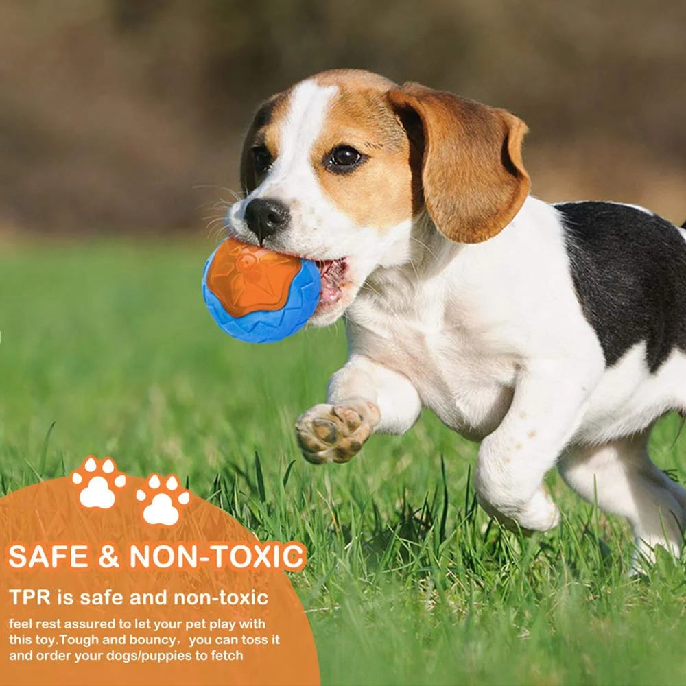 🐶 Chewing Toy with Sound for Dogs – Reduces Boredom and Protects Your Belongings
