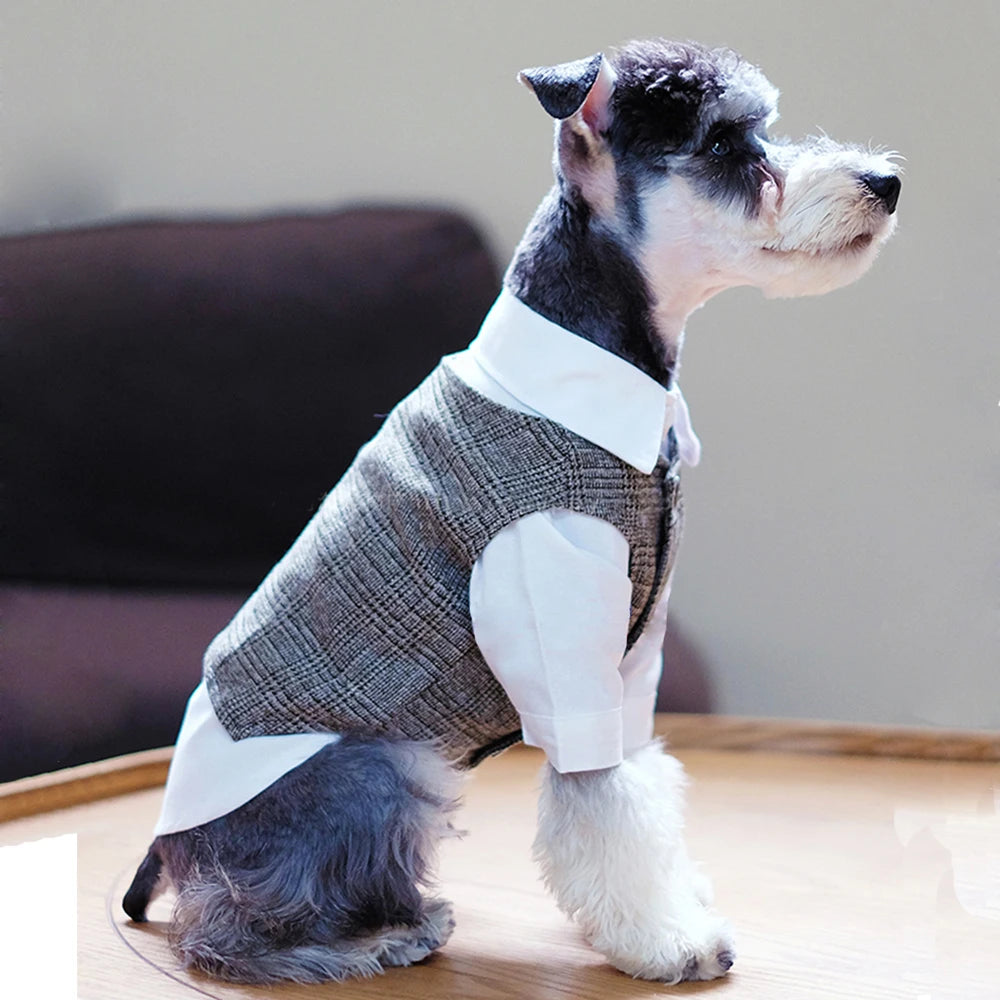 🐶 Costume élégant pour chiens type gentleman | Style formel confortable et premium ⭐ 4.8/5 (1.200+ clients)