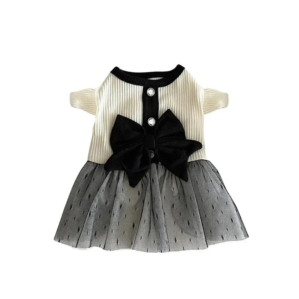 Robe pour chien pour petits chiens, vêtements de luxe d'été pour chiot, jupe en dentelle avec nœud, T-shirt pour chien noir et blanc, costume pour filles, gilet Chihuahua