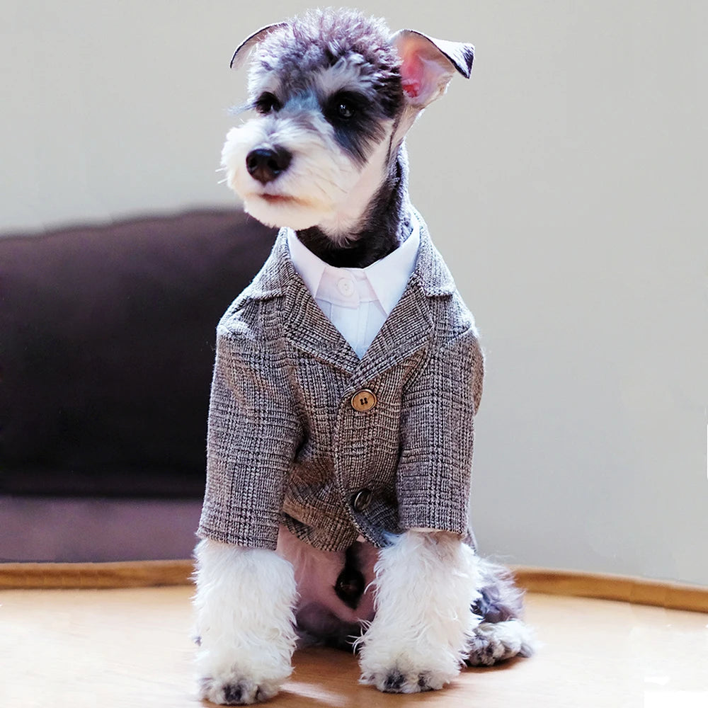 🐶 Costume élégant pour chiens type gentleman | Style formel confortable et premium ⭐ 4.8/5 (1.200+ clients)