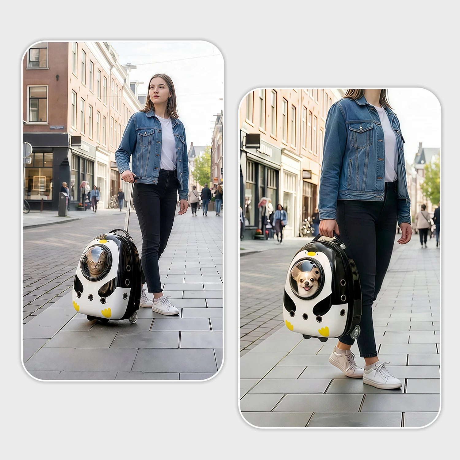 Sac à dos de transport pour chat 2 en 1, valise pour chats chiens petits chiots, sac à dos respirant pour l'extérieur, la randonnée et les voyages