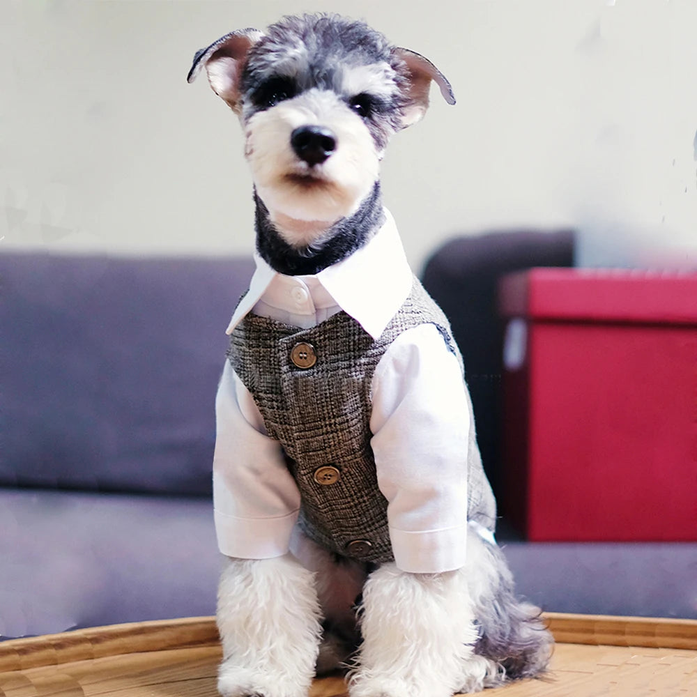 🐶 Costume élégant pour chiens type gentleman | Style formel confortable et premium ⭐ 4.8/5 (1.200+ clients)