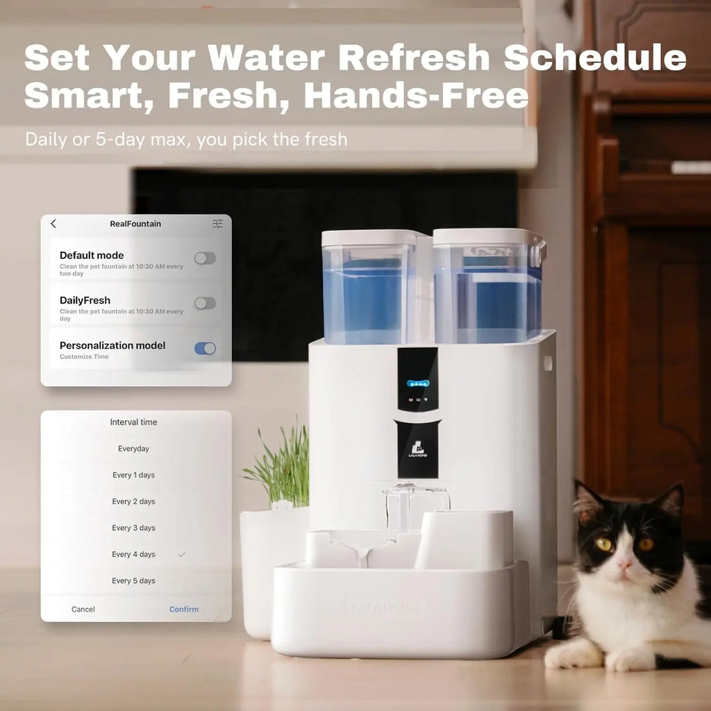 🐱🇺🇸Fontaine à eau intelligente pour chats 10L avec Wi-Fi | Autonettoyante, filtration avancée et premium ⭐ 4.9/5 (800+ clients)