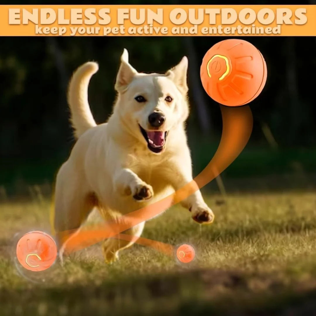 🐶 Automatic Interactive Dog Ball – Plays by itself and reduces boredom