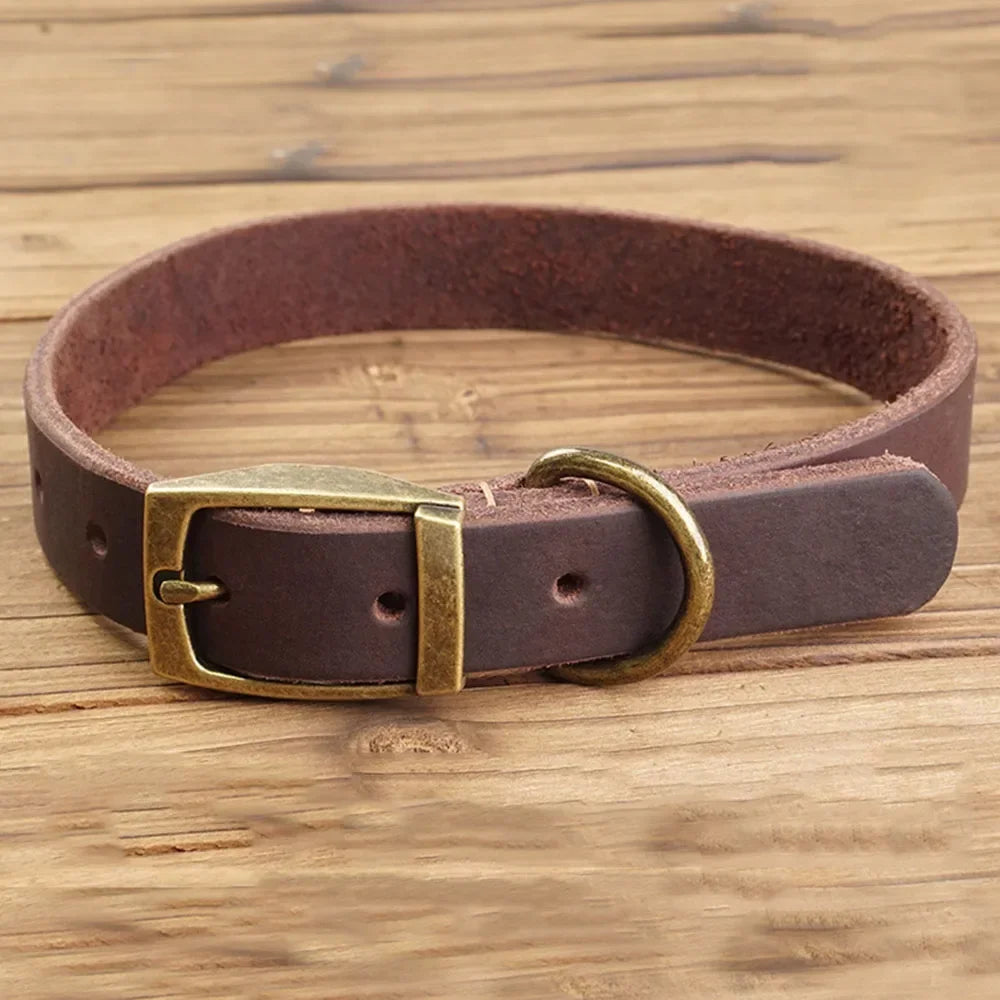 🐶 Strong and stylish leather dog collar – Total control with maximum comfort