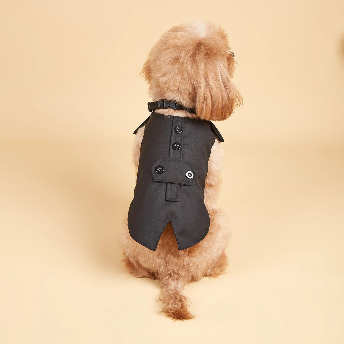 Chemise de mariage pour chien, costume d'Halloween avec bandana amovible, nœud papillon pour chiens de petite et moyenne taille