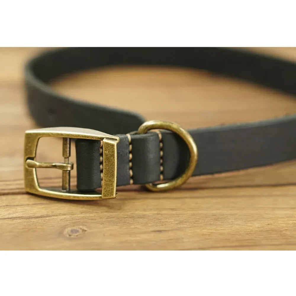 🐶 Strong and stylish leather dog collar – Total control with maximum comfort