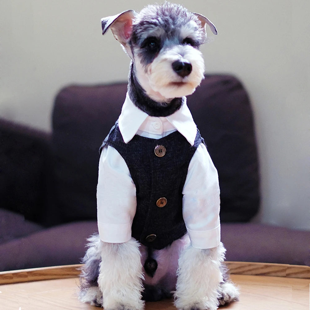 🐶 Costume élégant pour chiens type gentleman | Style formel confortable et premium ⭐ 4.8/5 (1.200+ clients)