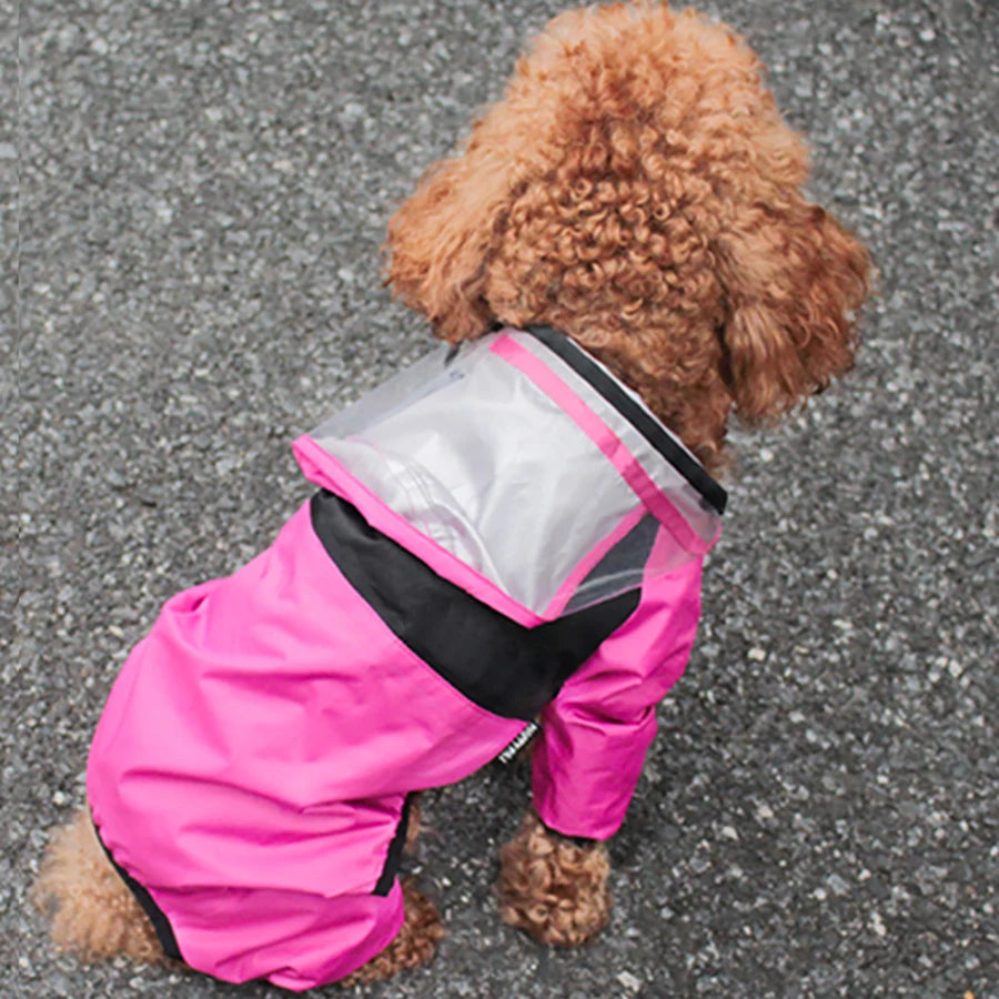 🐶 Imperméable pour chien avec protection totale – Gardez votre animal au sec même sous la pluie