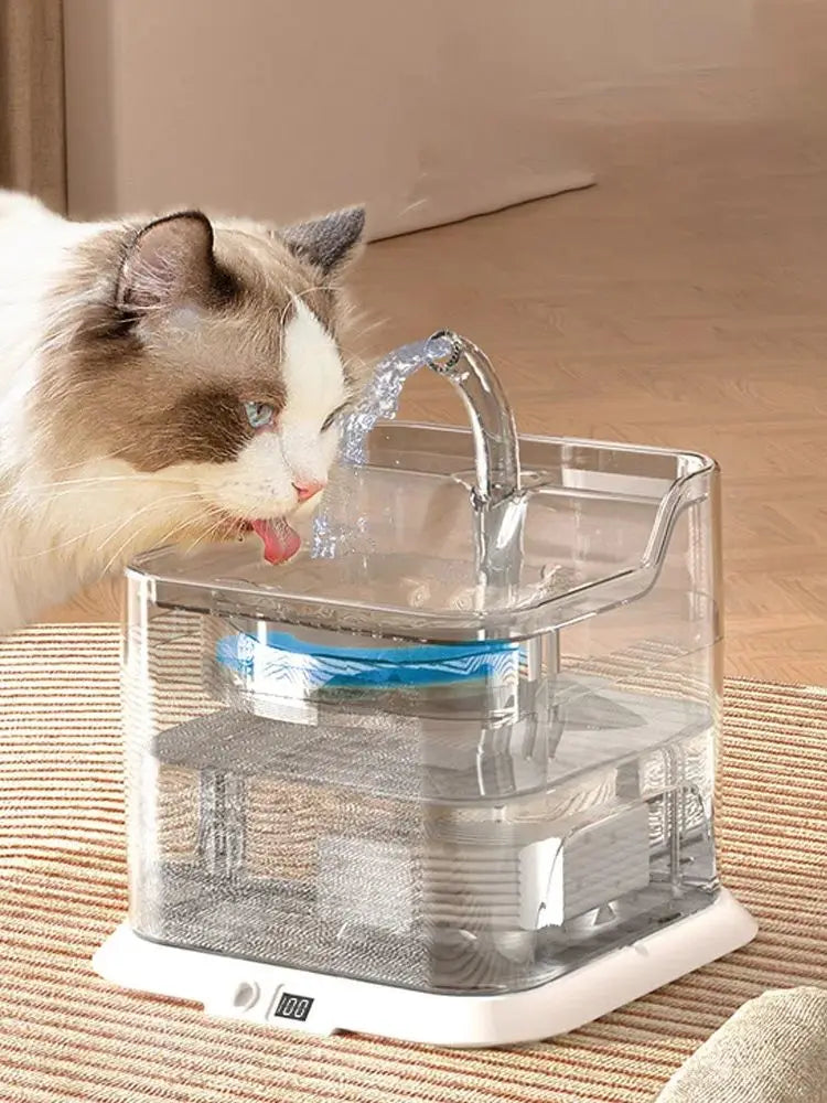 Fontaine à eau automatique sans fil pour chats, rechargeable 4400 mAh, capteur de batterie, distributeur d'eau pour chats et chiens
