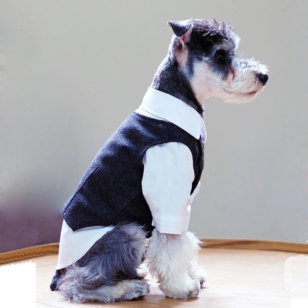 🐶 Costume élégant pour chiens type gentleman | Style formel confortable et premium ⭐ 4.8/5 (1.200+ clients)