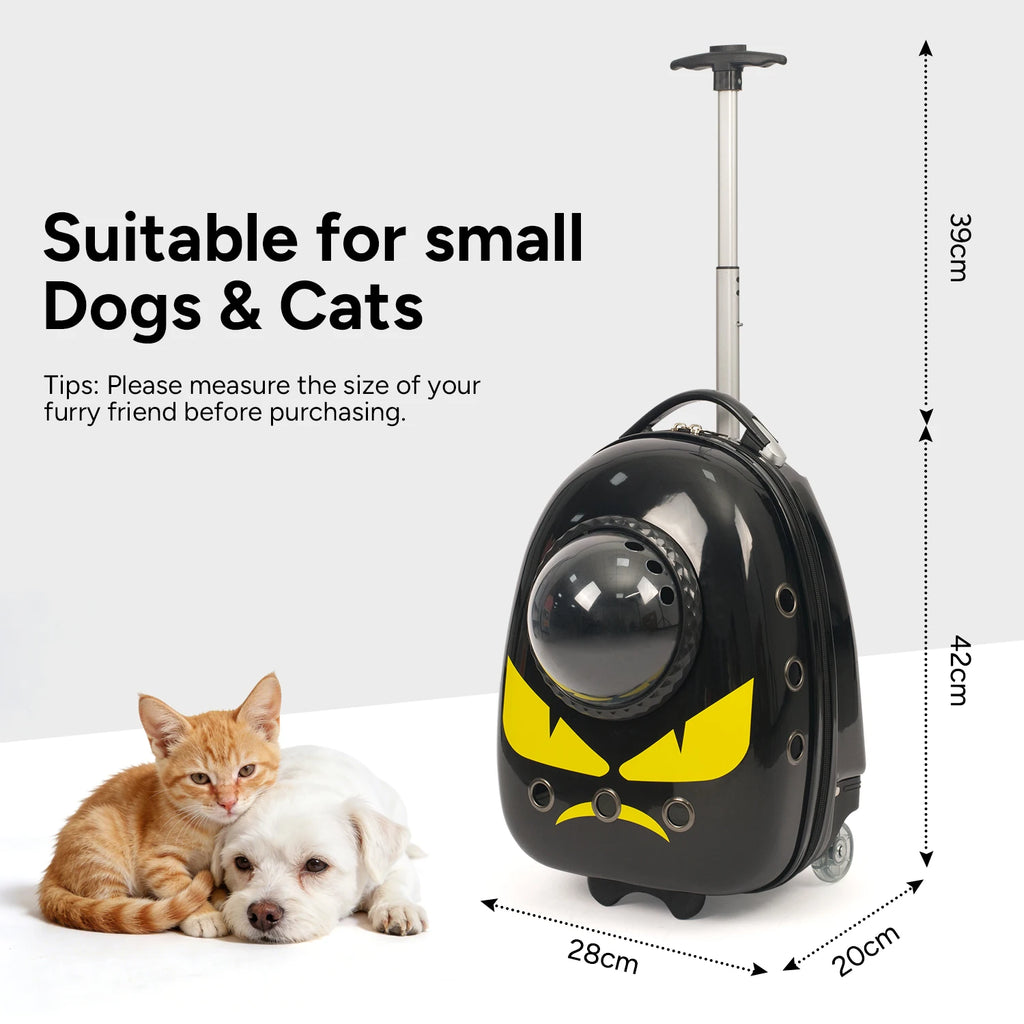 Sac à dos de transport pour chat 2 en 1, valise pour chats chiens petits chiots, sac à dos respirant pour l'extérieur, la randonnée et les voyages