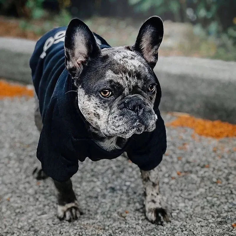 Sweats à capuche pour chiens de compagnie, saison automne et hiver, vêtements pour grands chiens, motif tête de chien, bouledogue français, labrador, veste, vêtements