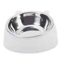 🐱 Inclined Stainless Steel Cat Bowl | Anti-tip, Comfortable, and Durable ⭐ 4.8/5 (2,100+ customers)