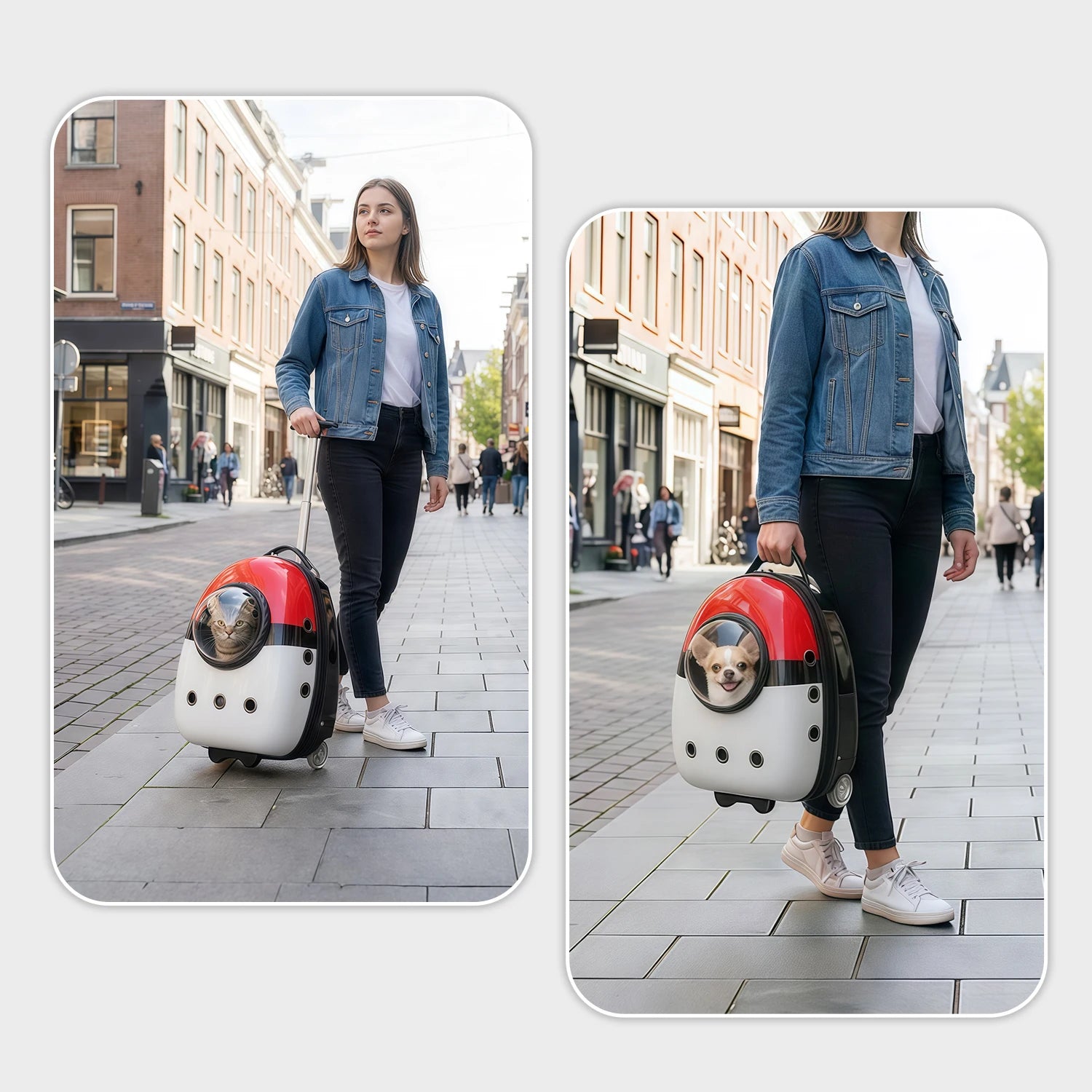 2-in-1 Cat Carrier Backpack Suitcase for Cats Dogs Small Puppy Outdoor Breathable Knapsack for Hiking Traveling