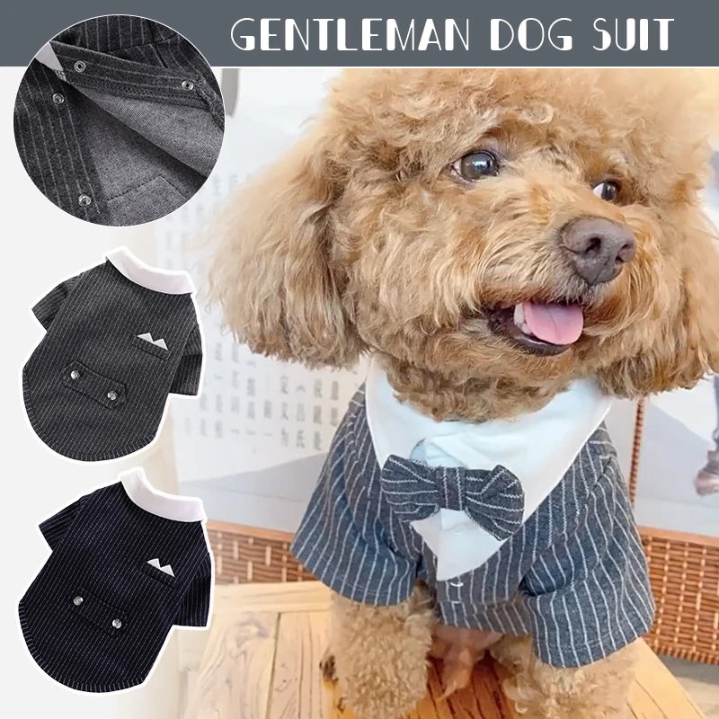 Vêtements pour chiens Gentleman, Costume de mariage, Chemise formelle pour petits chiens, Nœud papillon, Smoking, Tenue pour animaux de compagnie, Costume de Noël pour Teddy, Poméranien