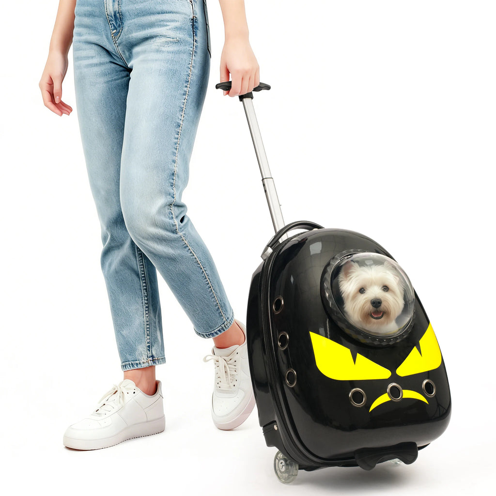 Sac à dos de transport pour chat 2 en 1, valise pour chats chiens petits chiots, sac à dos respirant pour l'extérieur, la randonnée et les voyages