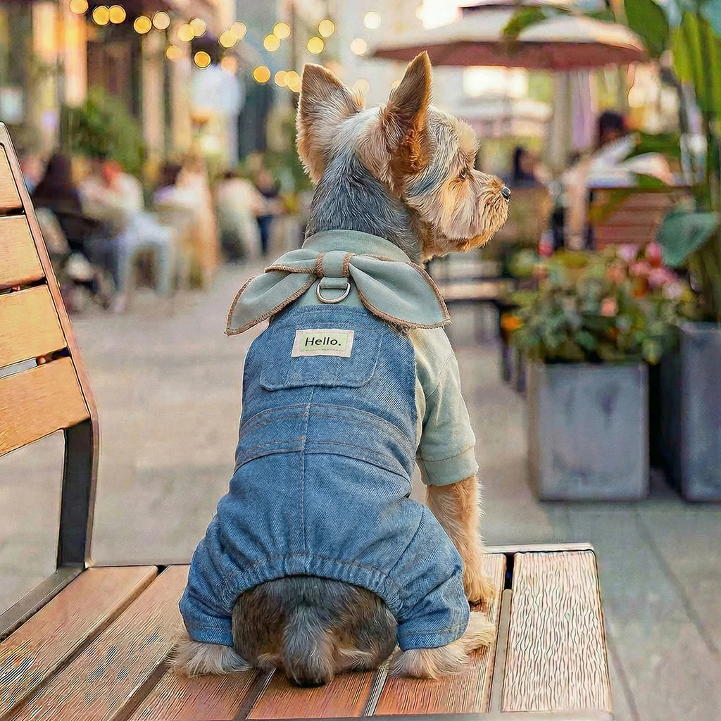 🐶 Denim Dog Overalls | Comfortable, breathable and modern look ⭐ 4.8/5 (1,200+ customers)