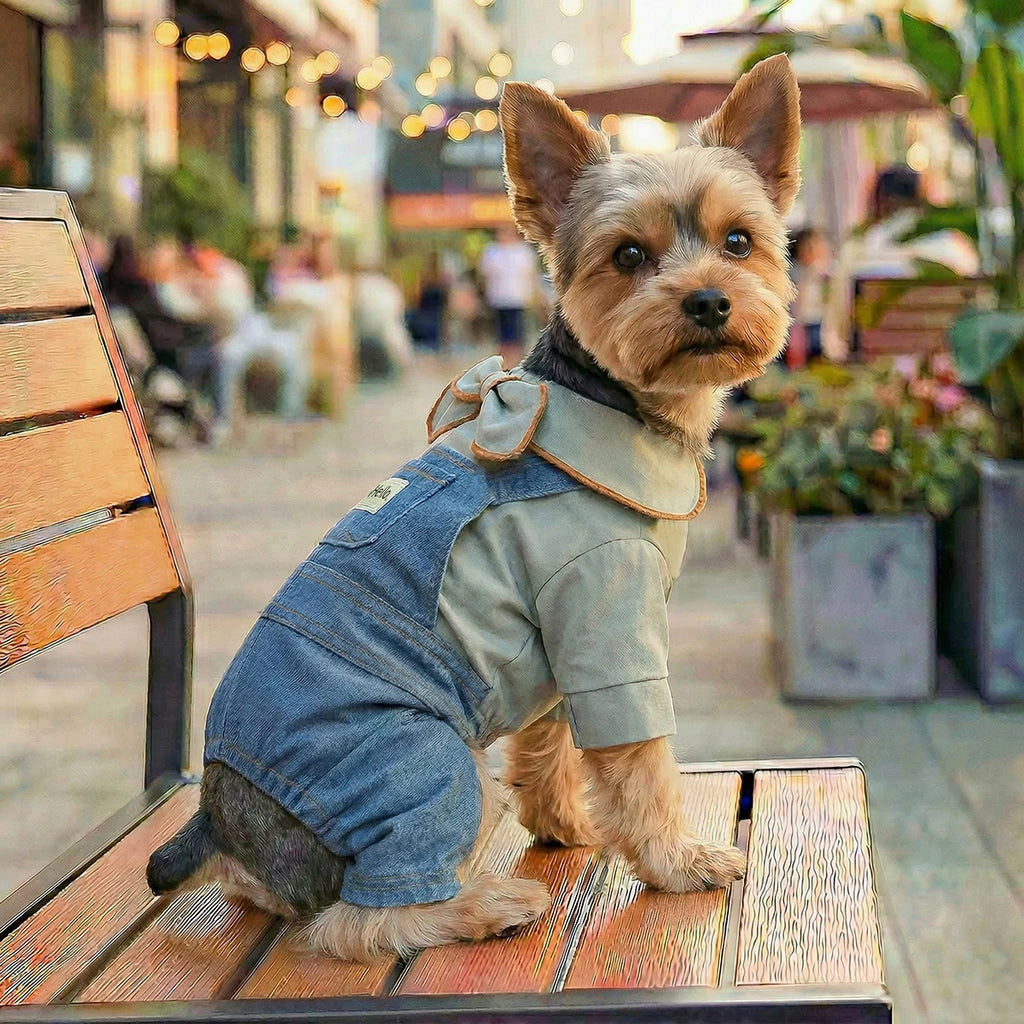 🐶 Denim Dog Overalls | Comfortable, breathable and modern look ⭐ 4.8/5 (1,200+ customers)