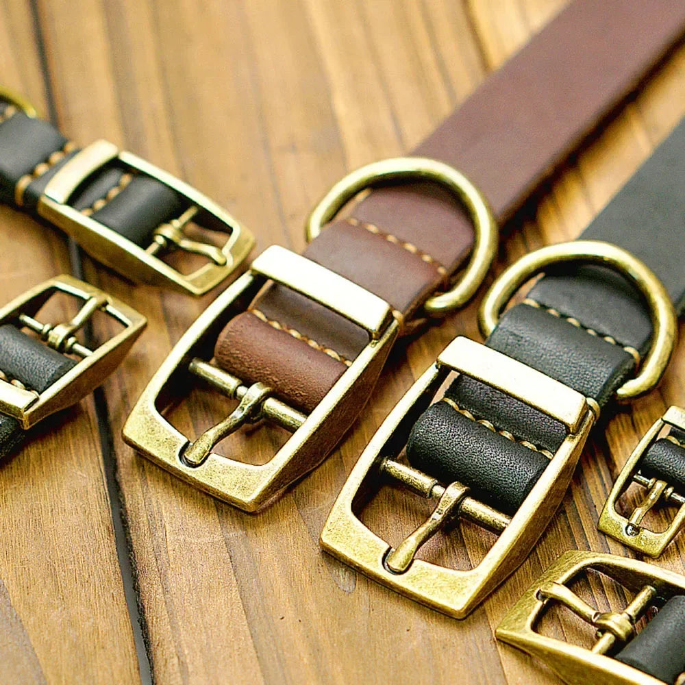 🐶 Strong and stylish leather dog collar – Total control with maximum comfort