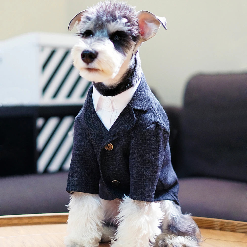 🐶 Costume élégant pour chiens type gentleman | Style formel confortable et premium ⭐ 4.8/5 (1.200+ clients)