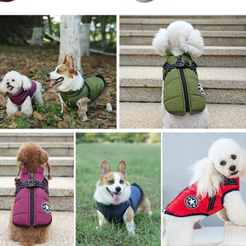 Veste chaude d'hiver pour chien avec harnais, manteau imperméable pour petit et moyen chien, Chihuahua, bouledogue français, vêtements d'extérieur pour chien