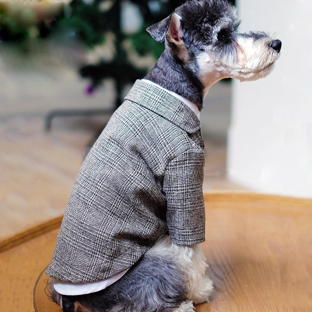🐶 Costume élégant pour chiens type gentleman | Style formel confortable et premium ⭐ 4.8/5 (1.200+ clients)