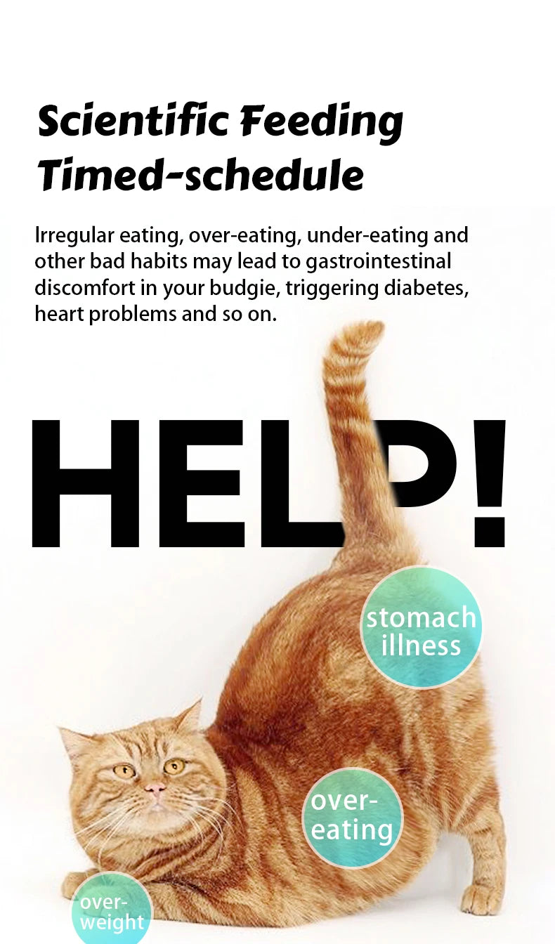 8L Automatic Cat Feeder With 1080p Camera Video 5G WiFi Cat Food Dispenser Pet Smart Voice Recorder Tuya APP Pet Auto Feeder