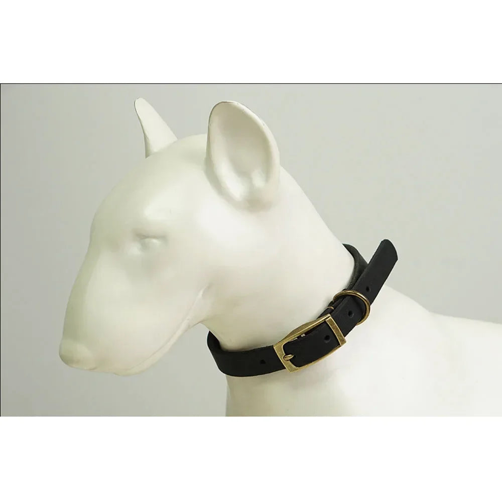 🐶 Strong and stylish leather dog collar – Total control with maximum comfort