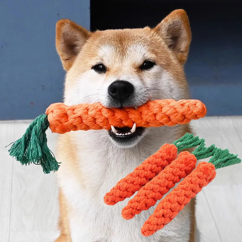 🐶 Carrot-shaped dog rope toy - Dental cleaning and entertainment